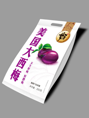 西梅包裝設(shè)計(jì)
