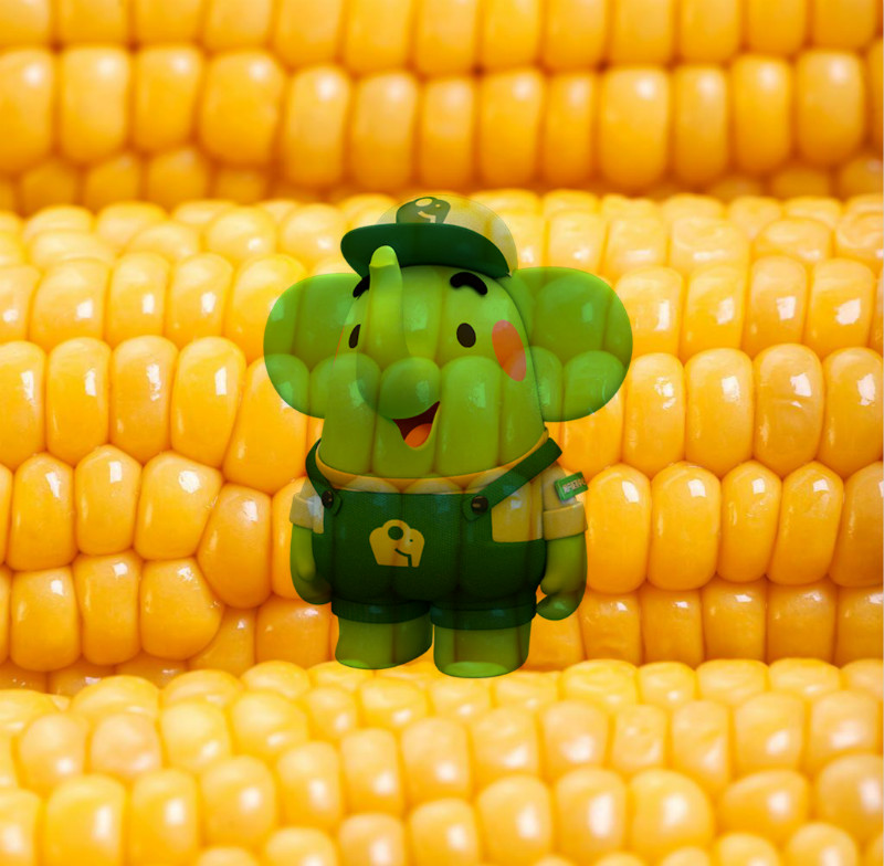 美團(tuán)買菜品牌吉祥物小綠象應(yīng)用效果_高瑞品牌 美團(tuán)買菜品牌吉祥物小綠象應(yīng)用效果_高瑞品牌